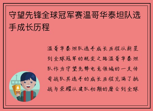 守望先锋全球冠军赛温哥华泰坦队选手成长历程